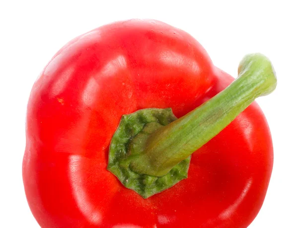 Baksida av röd paprika — Stockfoto