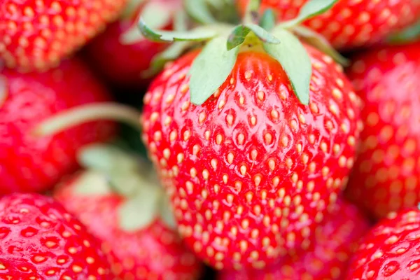 Big strawberry with shalow depth of view — Stock Photo, Image