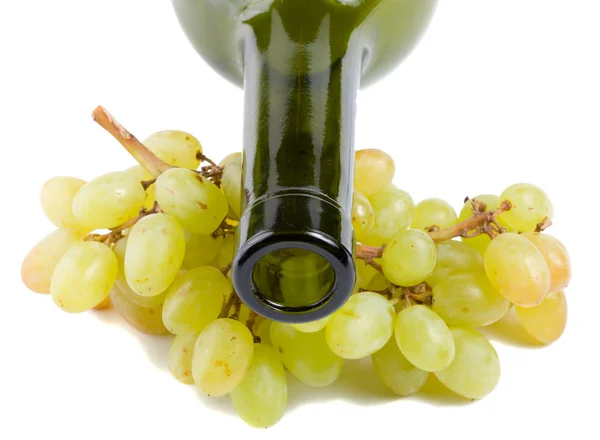 Cuello de botella y uvas — Foto de Stock