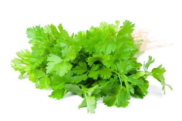 Bouquet of parsley — Stock Photo, Image