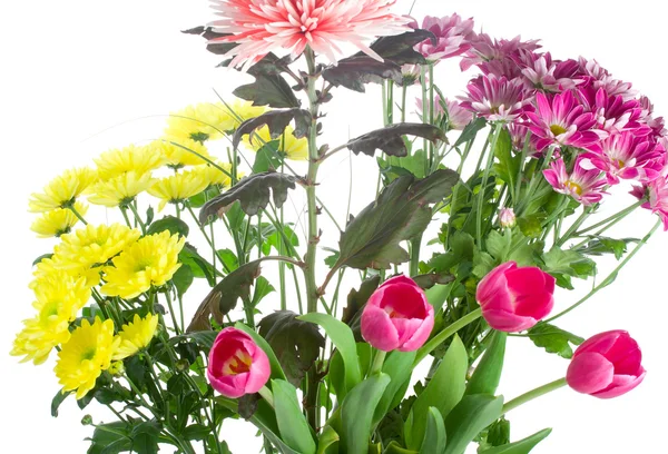Närbild bukett av olika blommor — Stockfoto