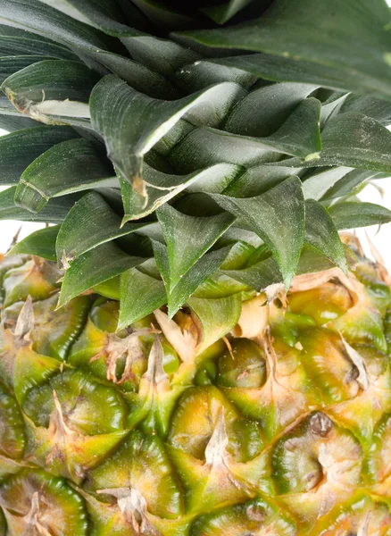 Szczegół część ananasa — Zdjęcie stockowe
