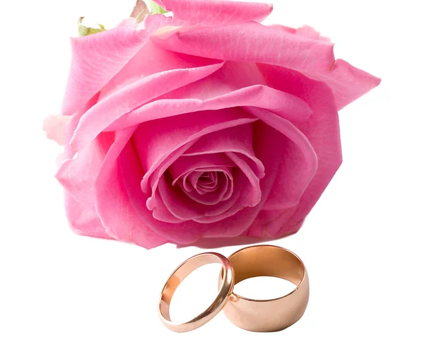 stock image Close-up pink rose and two wedding rings