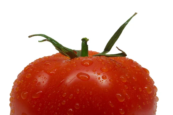 Close-up single tomato — Stock Photo, Image