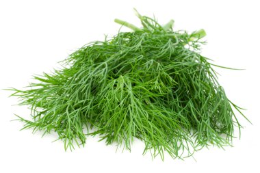 Dill.