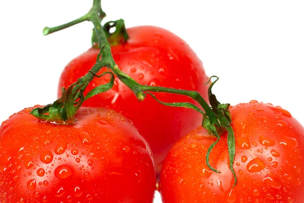 Detaljbild tre tomater med vattendroppar — Stockfoto