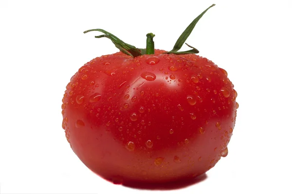Lähikuva koko tomaatti — kuvapankkivalokuva