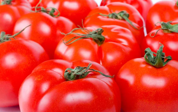 Mnoho červených zralá rajčata — Stock fotografie