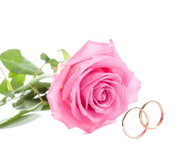 Rosa rosa e anéis de casamento — Fotografia de Stock