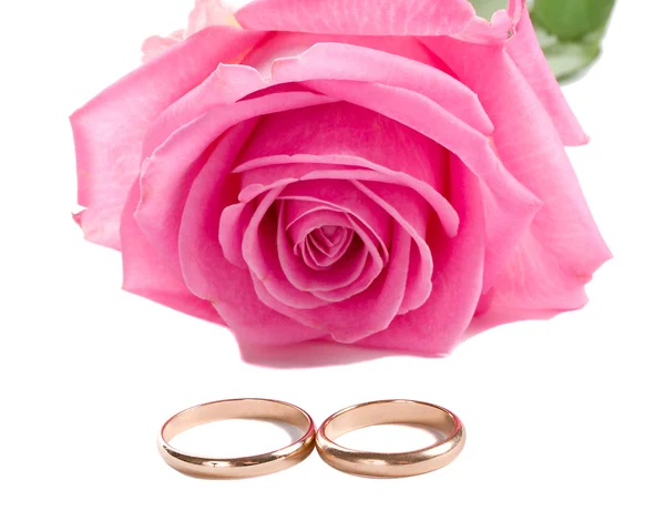 Rosa Rose und zwei Eheringe — Stockfoto