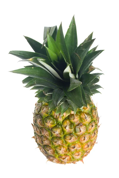 Reife Ananas isoliert — Stockfoto