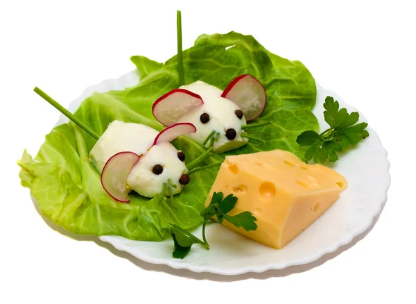 Salade - deux souris et fromage — Photo