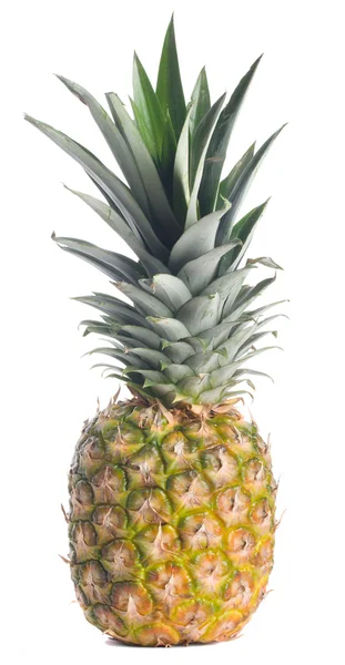 Jeden dojrzały ananas — Zdjęcie stockowe
