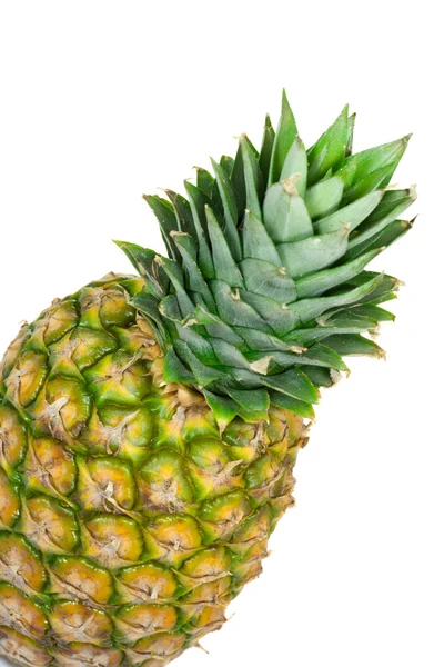 Pineapple 1 Stock Picture