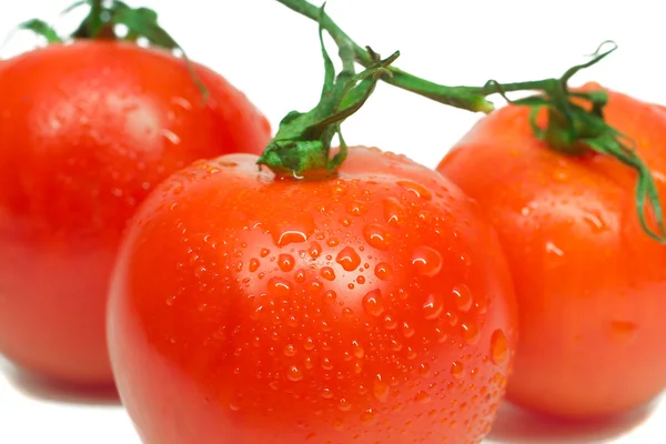 Tre röda tomater — Stockfoto
