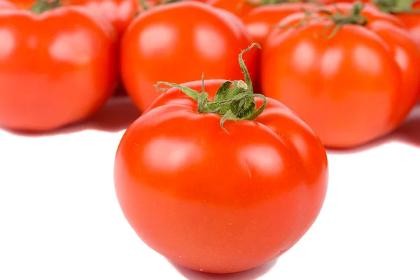 Tomat på tomater bakgrund — Stockfoto