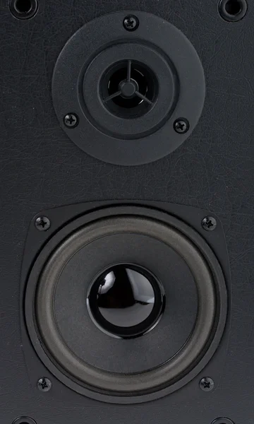 stock image Two speakers