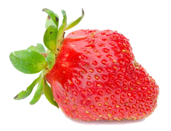 Big single strawberry — Stock Photo, Image