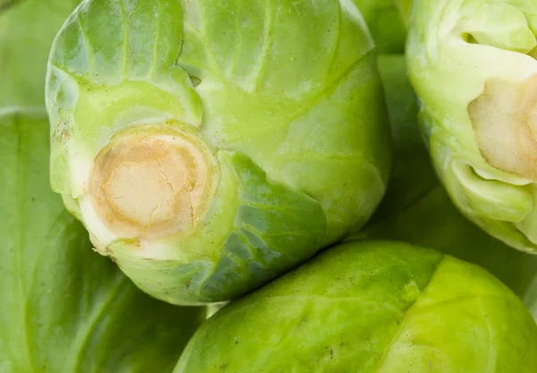 Brussels sprouts as background — Stock Photo, Image