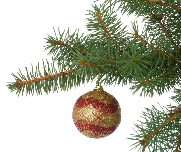 Kerstmis bal in een tak van de zilverspar — Stockfoto