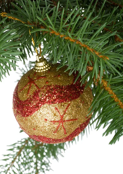 Christmas ball in a fir tree — Stock Photo, Image
