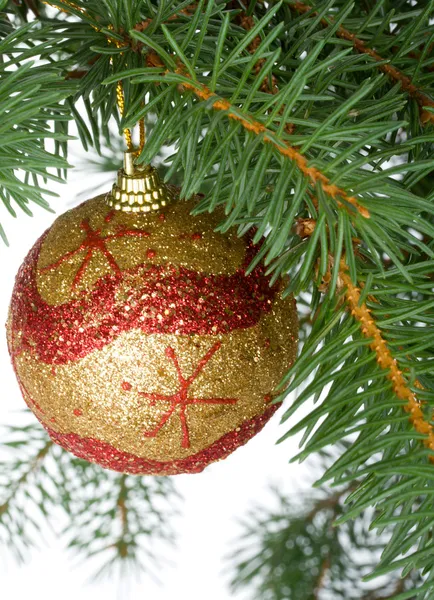 モミの枝のクリスマスボール — ストック写真