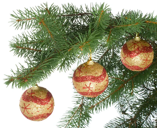 モミの枝にクリスマス ボール — ストック写真