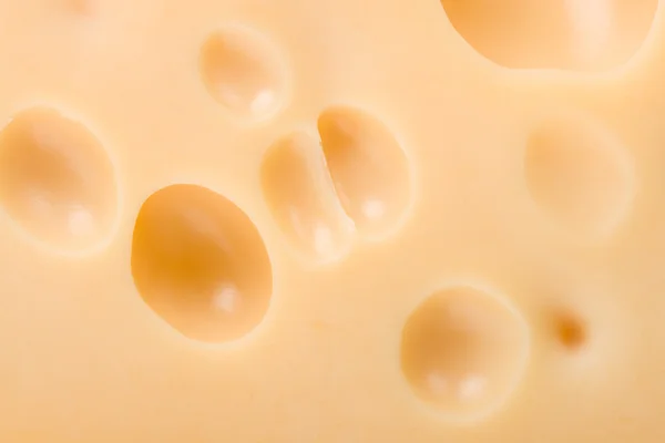 Close-up cheese — Stock Photo © Alekcey #1799292