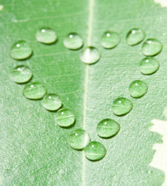 Coração de close-up de gotas de água na folha — Fotografia de Stock