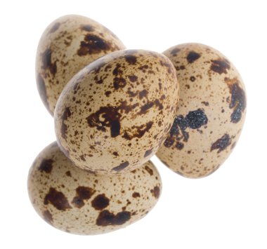 Four quail eggs in pyramid clipart