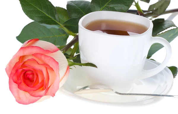 Close-up rosa e xícara de chá — Fotografia de Stock