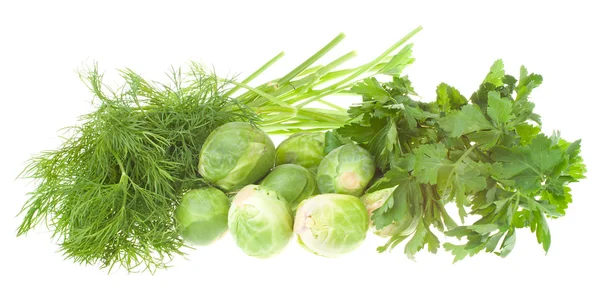 Dill parsley and brussels sprouts — Stockfoto