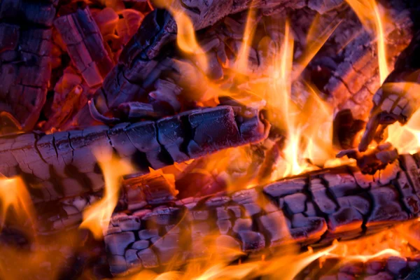 Bois de chauffage dans le feu — Photo