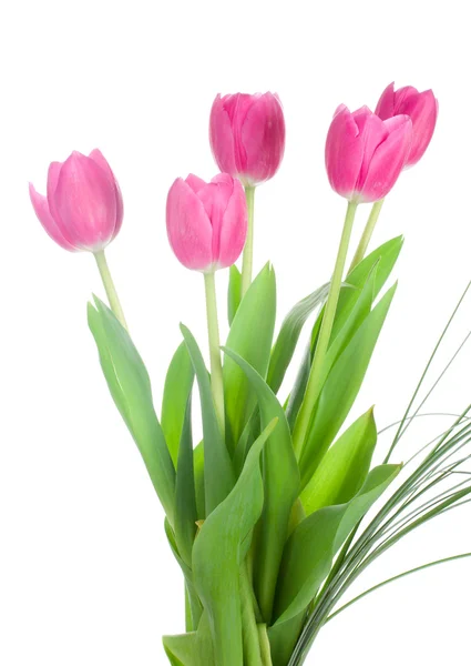 Ramo de cinco tulipanes rosados — Foto de Stock