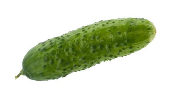 신선한 녹색 오이 — 스톡 사진