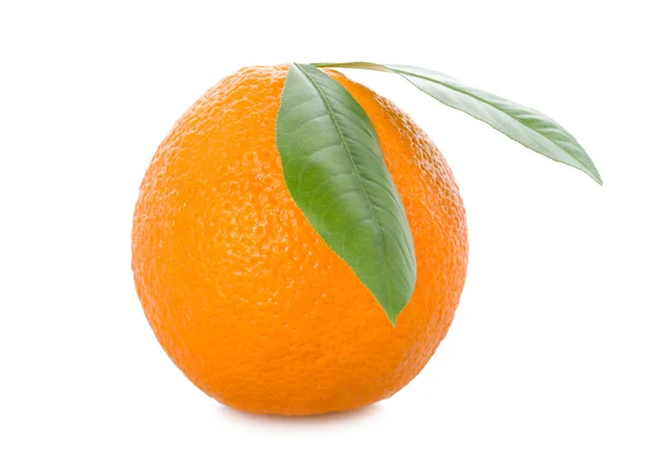 Полный оранжевый с листьями — стоковое фото