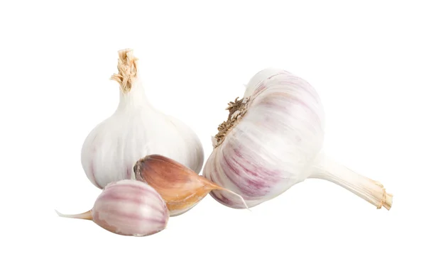 Garlic full and peaces isolated — Stock Photo, Image