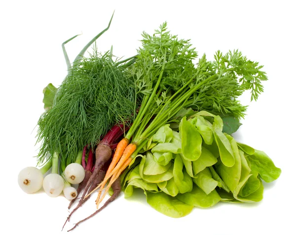 Haldy nových zeleniny — Stock fotografie