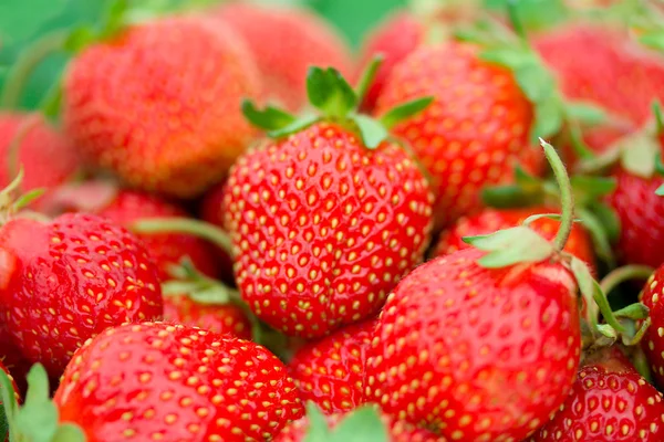 Heap of ripe strawberries — Stock Photo, Image