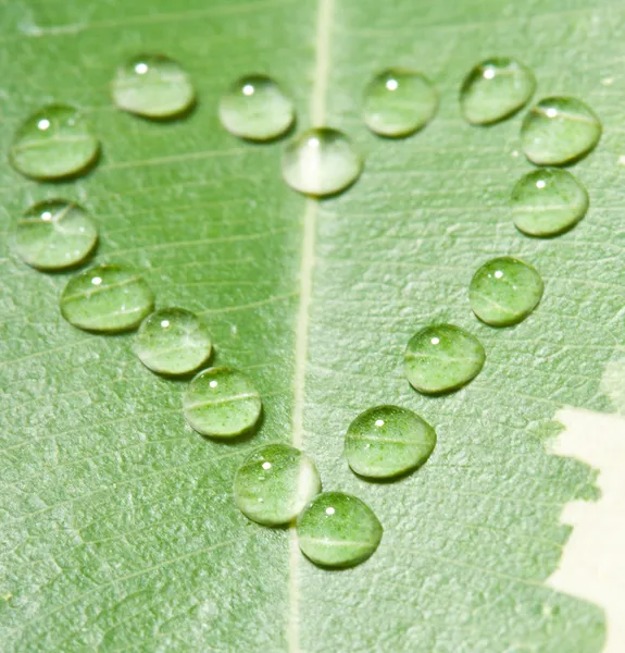 Серце від крапель води на листі — стокове фото