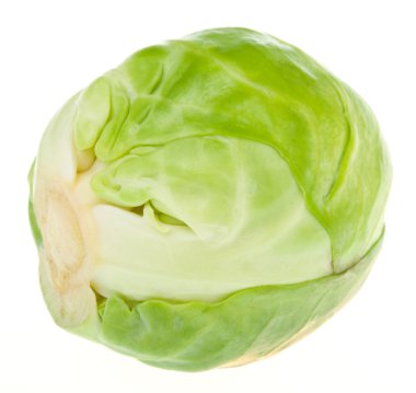 Single brussels sprout clipart