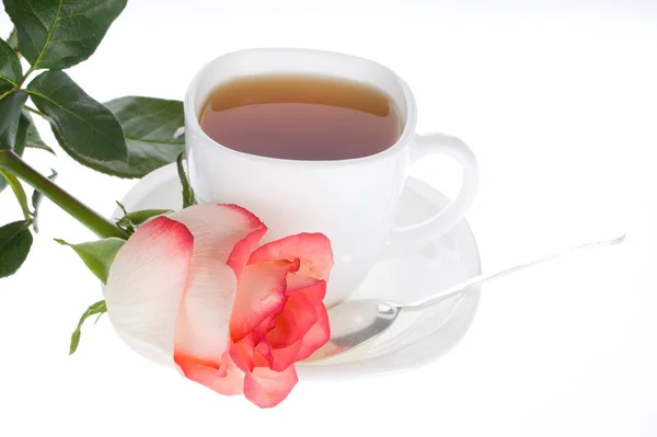 Red white rose and cup of tea — Stock Photo, Image