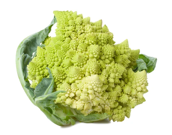 Romanesco cauliflower isolated — Stock Photo, Image