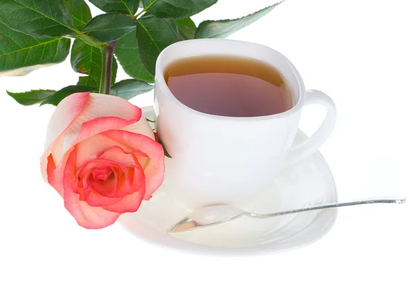 Τριαντάφυλλο και φλιτζάνι τσάι — Φωτογραφία Αρχείου