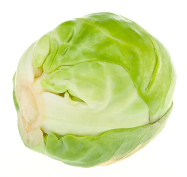 Single brussels sprout — Stock Photo, Image