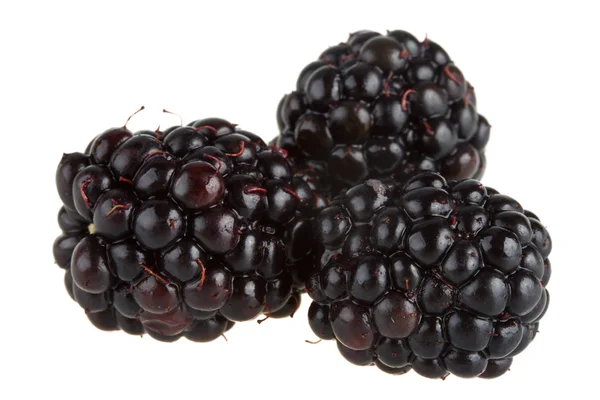Three blackberries — Stock Photo, Image