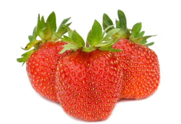 Tre mogna jordgubbar — Stockfoto