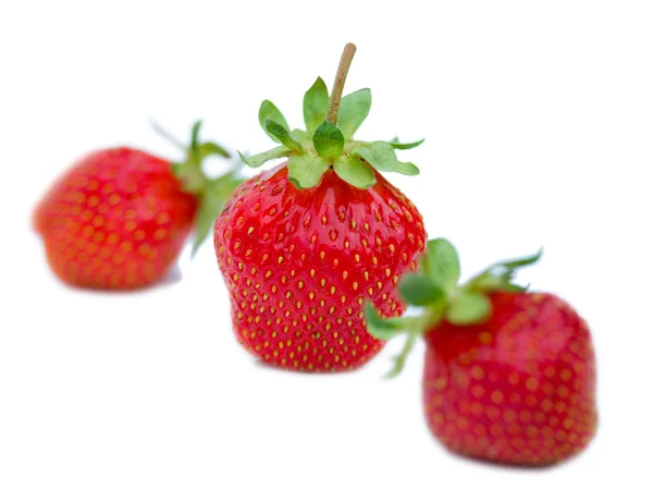 Trois fraises — Photo