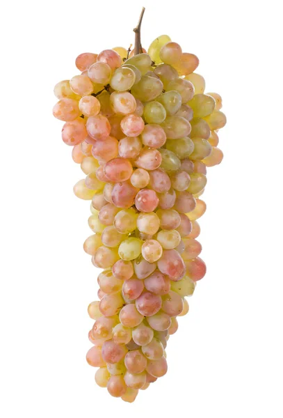 串成熟的绿色葡萄 — 图库照片