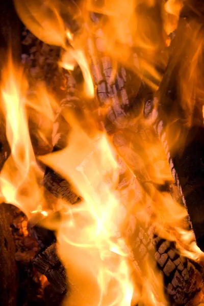 Leña de cerca en el fuego — Foto de Stock